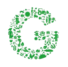 Global GAP Certification