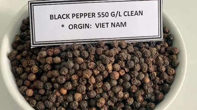 BLACK PEPPER 550 G/L CLEANED