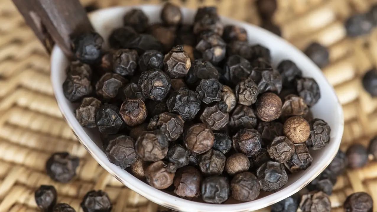 BLACK PEPPER 600 G/L CLEANED