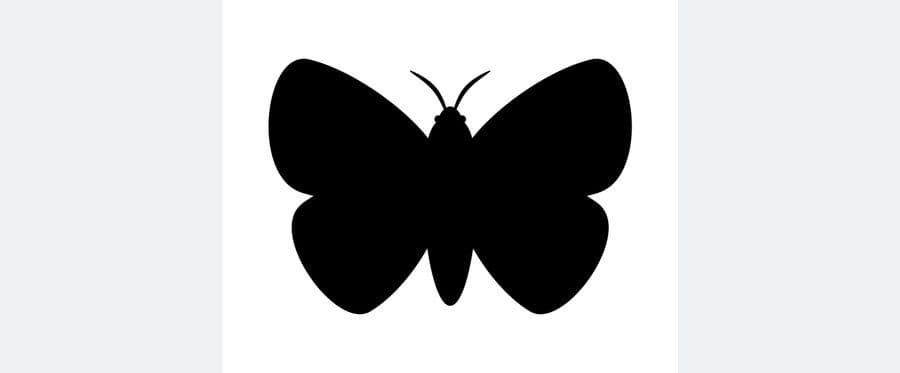マイマイガの成虫のシルエット