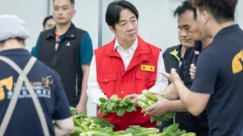 台灣官員視察農產品，背景提及南部淹水，象徵洪水對農業及經濟的隱藏成本。