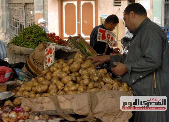 رجل يتفحص البطاطس في سوق، يرمز إلى دور البطاطس التاريخي في تطور الحضارات البشرية.