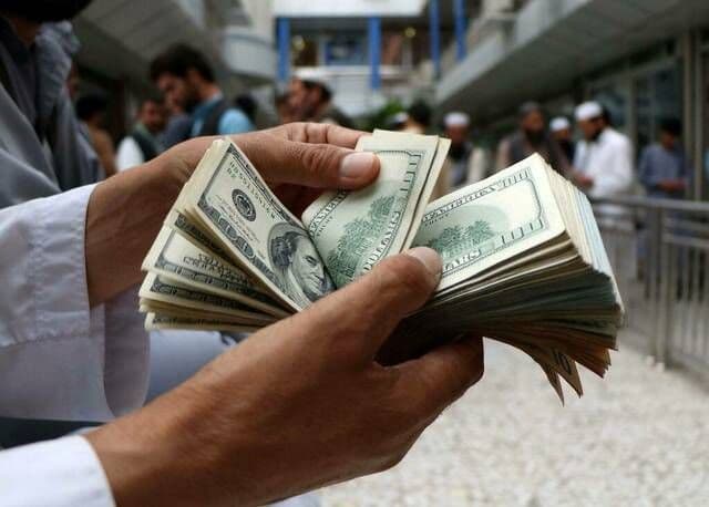 أوراق نقدية من الدولار الأمريكي ترمز لتأثير سعر الصرف على تكلفة الدواجن