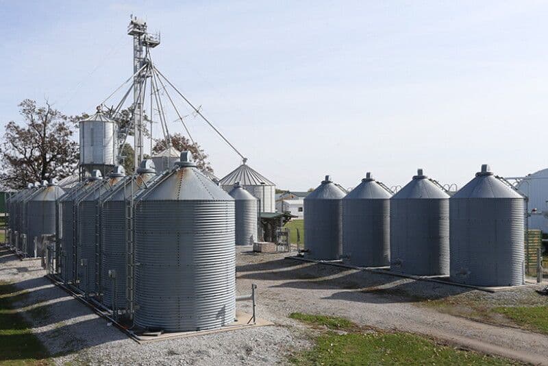 A cluster of metal grain bins in a rural agricultural setting.
