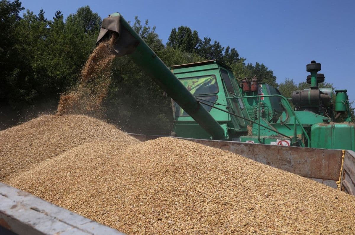 A combine harvester loading grain into a truck at a Ukrainian farm.