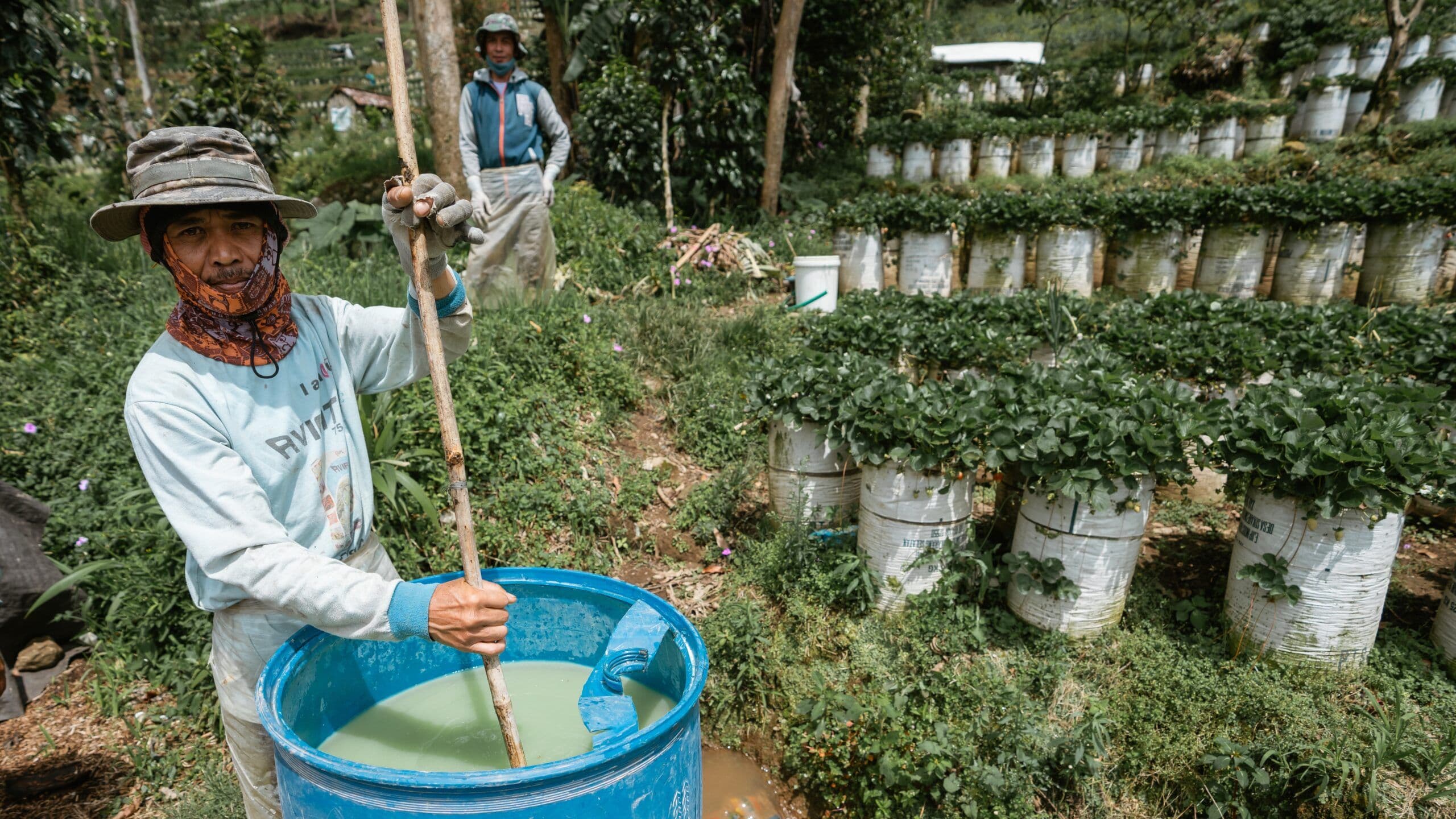 A farmer applying fertilizer to crops, representing potential input shortages.
