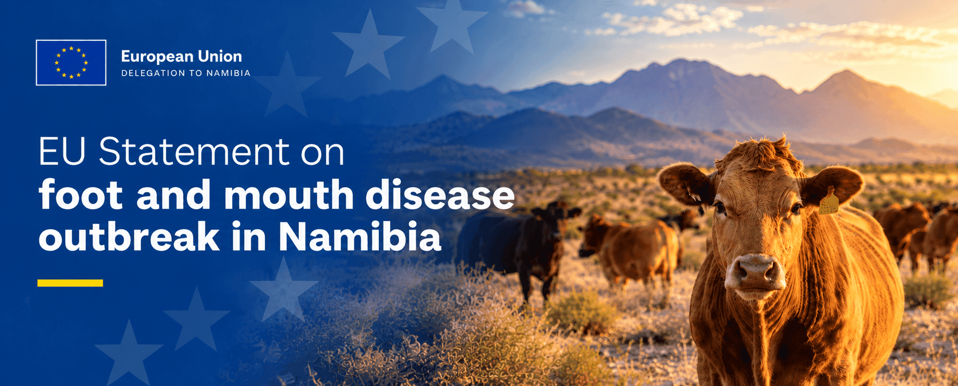 A landscape image featuring cattle in a field, with a European Union graphic overlay regarding an FMD outbreak in Namibia.