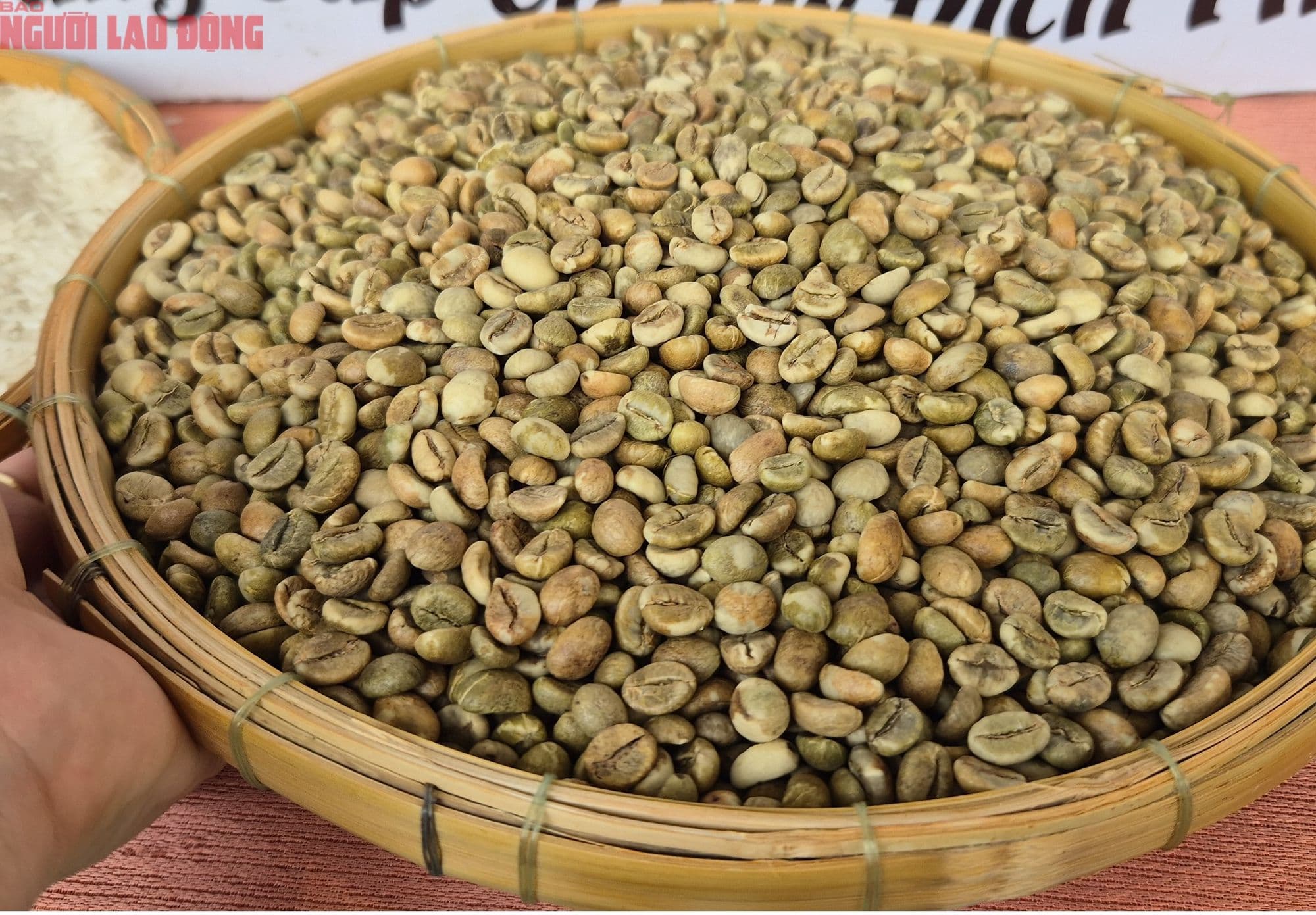 A large basket filled with green coffee beans, symbolizing the global coffee commodity market and its rising value.