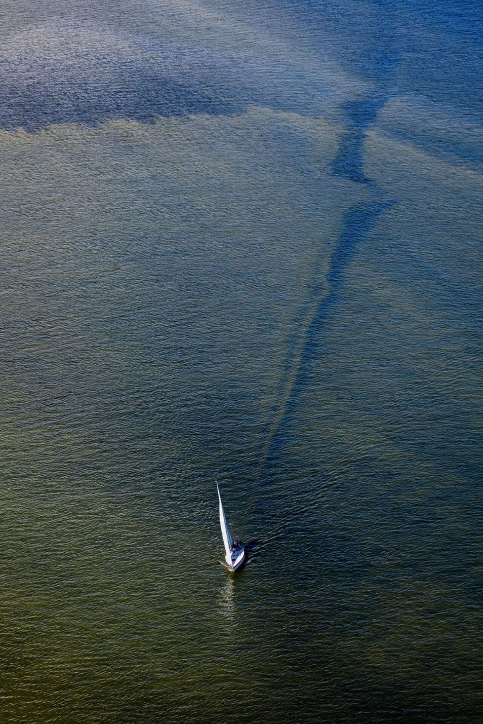 A sailboat navigating through a sea visibly affected by blue-green algae, illustrating the close proximity of citizens to environmental changes.