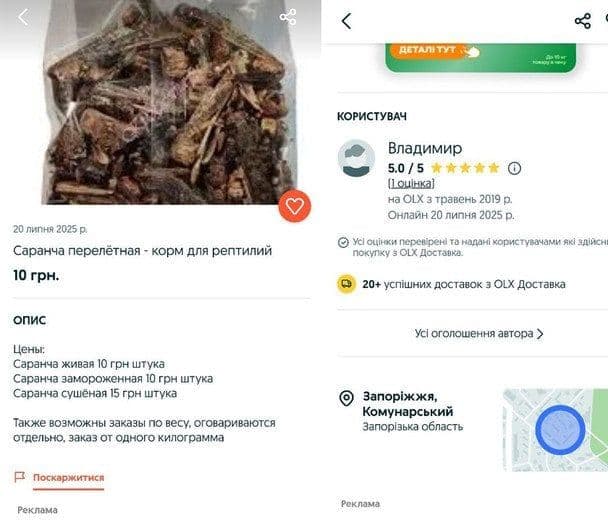 A screenshot of an online marketplace listing in Ukrainian for a bag of dried locusts sold as reptile food.