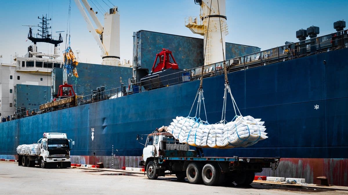A ship crane at a port loading cargo, illustrating the operational mechanics of the global supply chain.