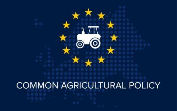 A symbolic agricultural landscape representing the policy context for the EU Common Agricultural Policy.