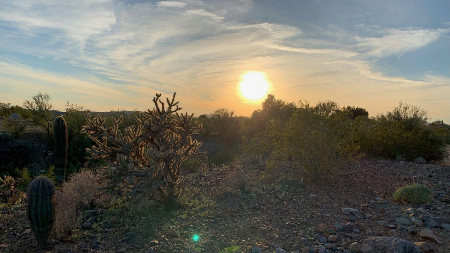 A vibrant sunset over a desert landscape with cacti in Phoenix, symbolizing the intense heat and climate.