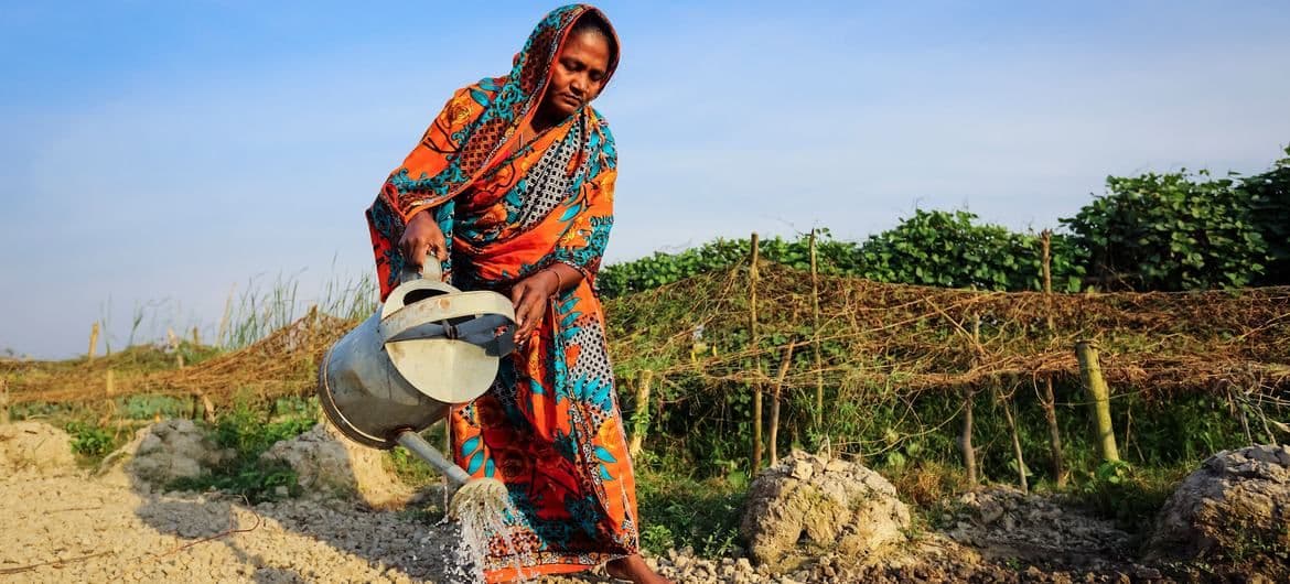 A woman working in a rural field with a watering can, representing small-scale agriculture vulnerable to global input supply fluctuations.