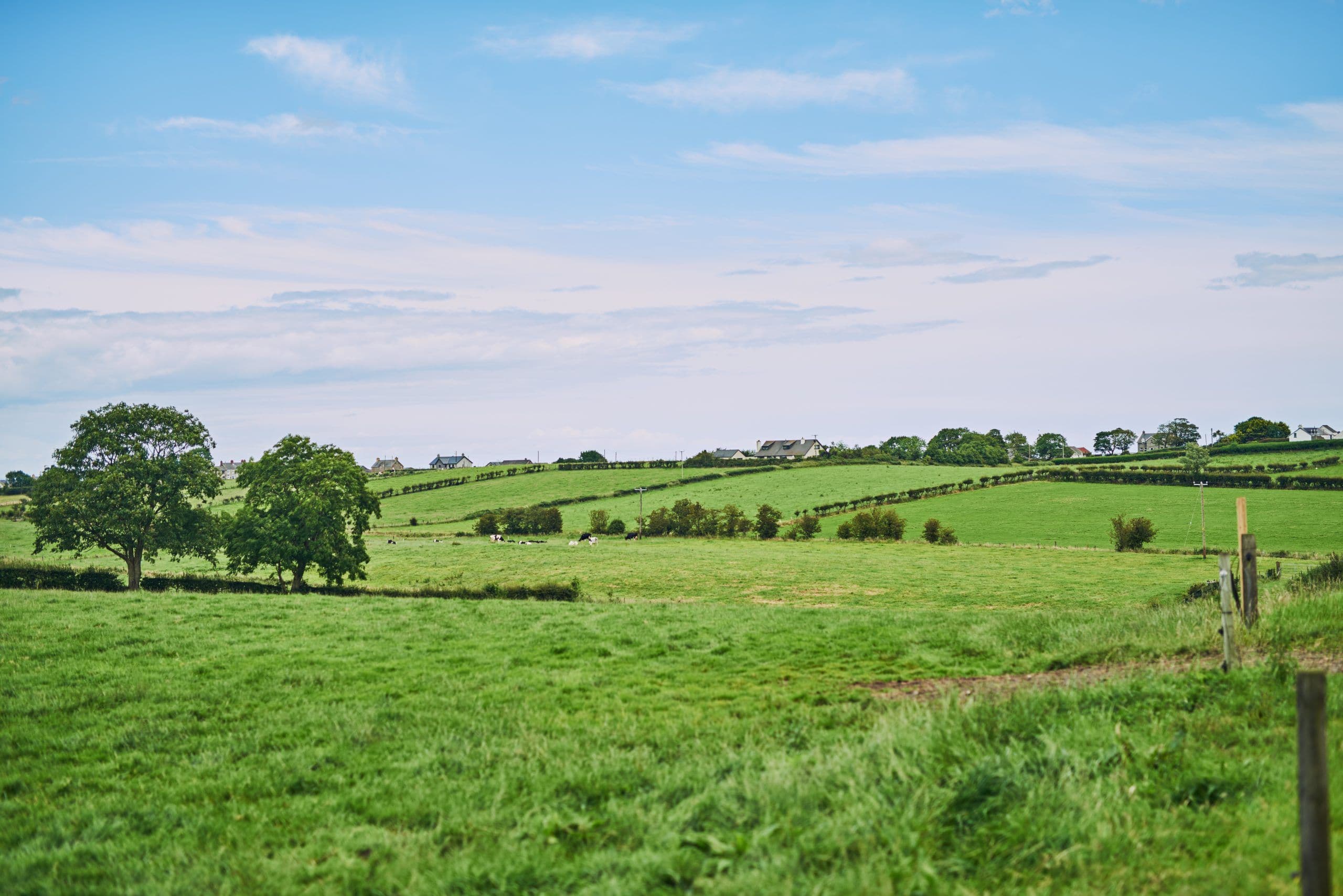Aerial view of green European agricultural farmland fields.