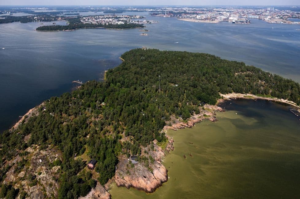 An aerial view of a dense blue-green algae bloom forming thick rafts around a rocky island in the Finnish archipelago.