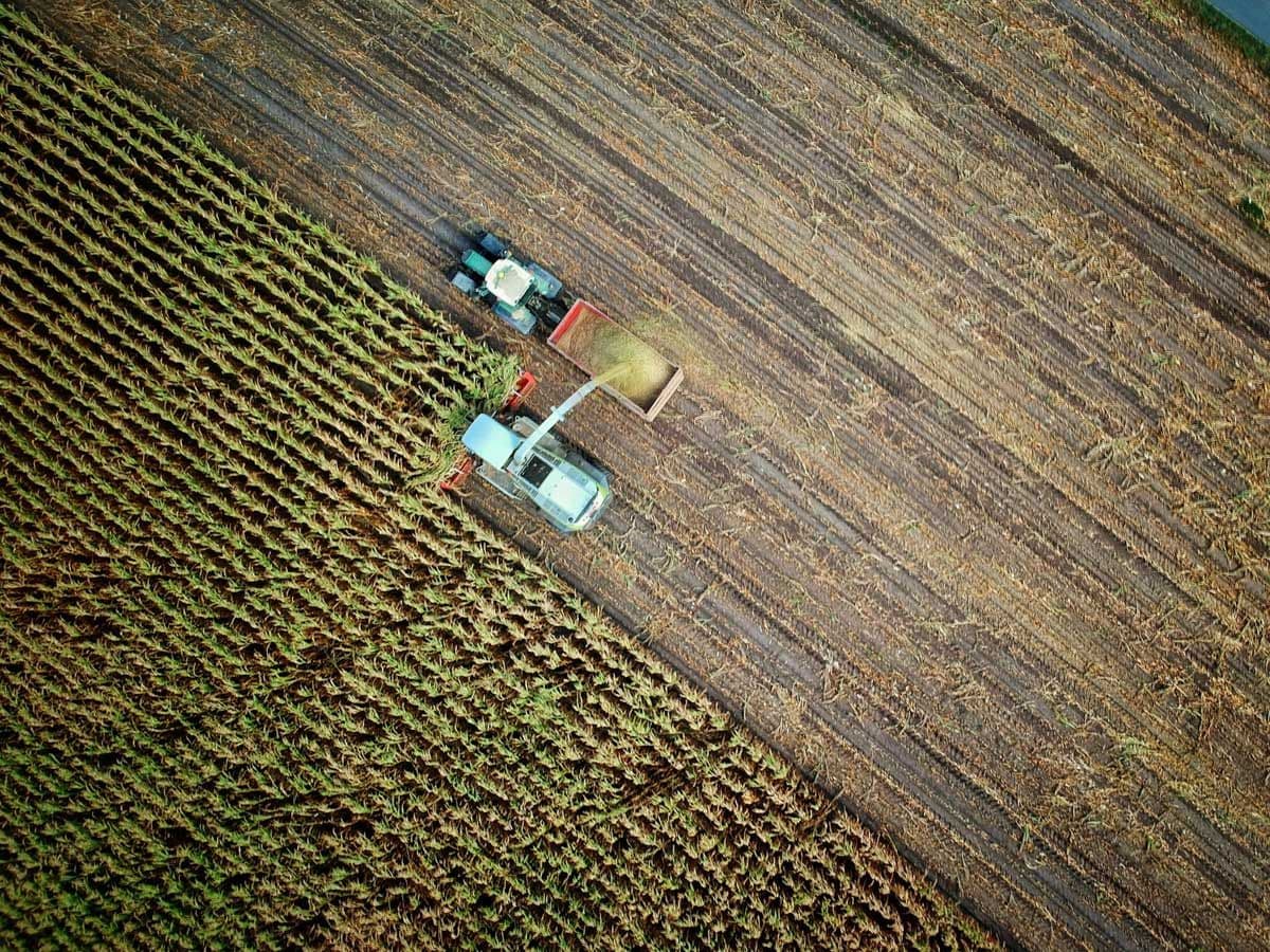 An aerial view of an agricultural field during harvest, symbolizing the vulnerability of food production and planting seasons to global supply chain disruptions.