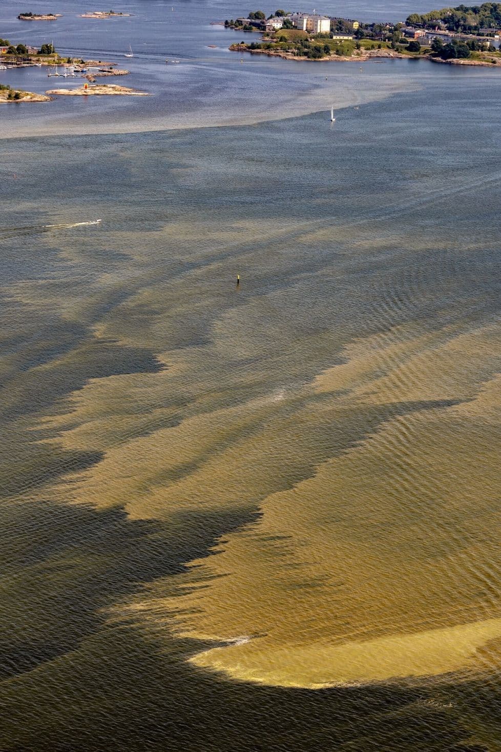 An aerial view of the sea showing distinct, wave-like patterns of yellowish-green blue-green algae, resembling underwater dunes, highlighting its visual characteristics.
