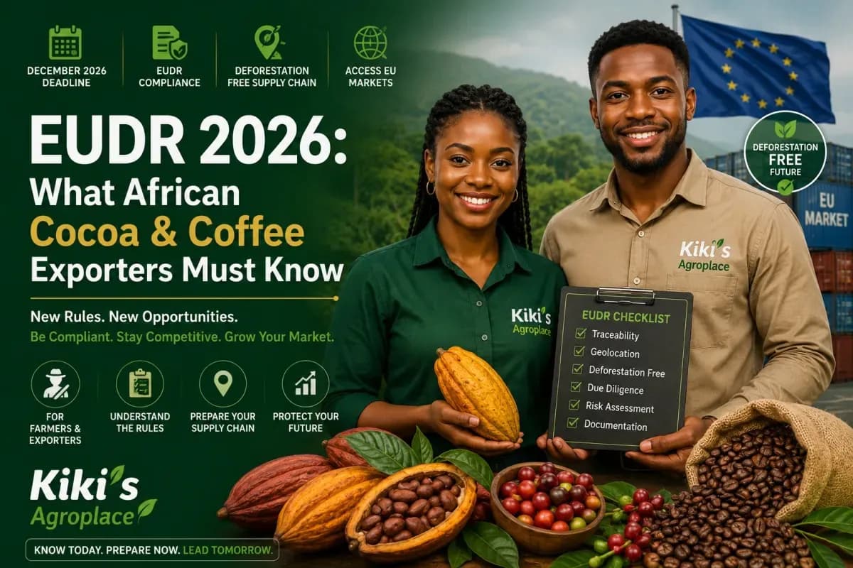 An illustration showing cocoa and coffee beans alongside a summary of EUDR 2026 compliance requirements for smallholder farmers.