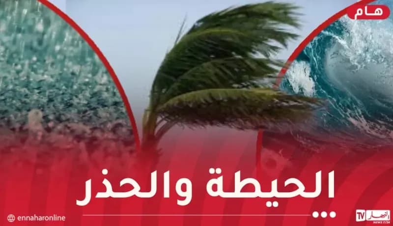 An image depicting severe weather conditions in Algeria, with heavy rain, a palm tree bending in strong winds, and a large ocean wave, illustrating the ONM's warnings for turbulent skies.