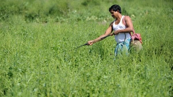 An Indian farmer spraying crops in a green field, representing the beneficiaries of the PM Kisan scheme.