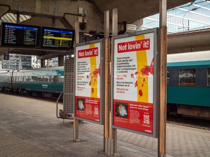 Anima's 'Not lovin' it!' campaign posters displayed on a train platform in Oslo, challenging consumers on ethical fast food choices.