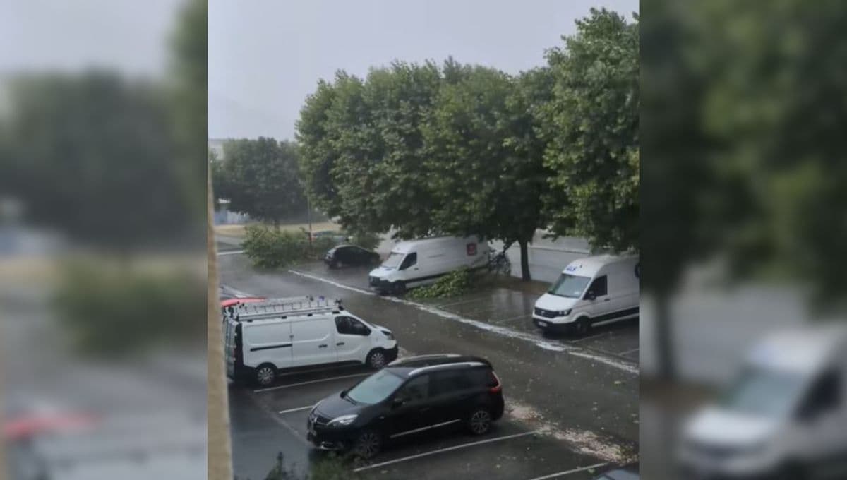Arbres tombés et débris dans un parking après un orage violent, illustrant les impacts des tempêtes en France.