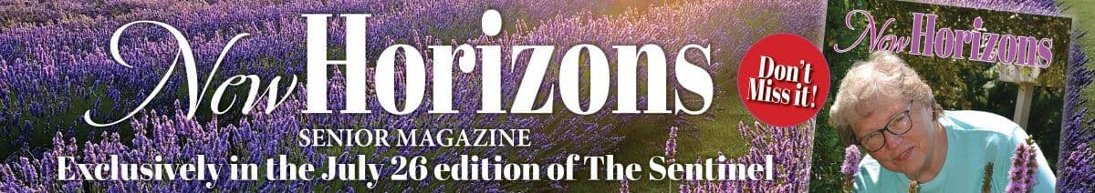 Bannière publicitaire 'New Horizons Senior Magazine' avec des champs de lavande, faisant écho aux 'horizons incertains' du titre de l'article sur la canicule.