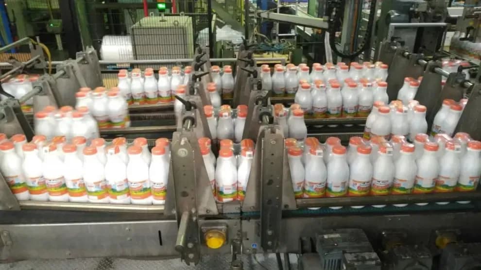 Central Lechera Asturiana milk bottles on a production line, symbolizing the brand's commercial dispute and potential disappearance from supermarket shelves.