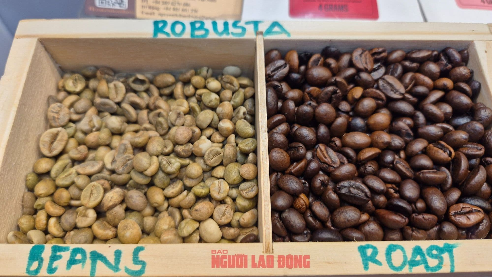 Close-up of a wooden box containing both unroasted green Robusta coffee beans and roasted Robusta coffee beans.