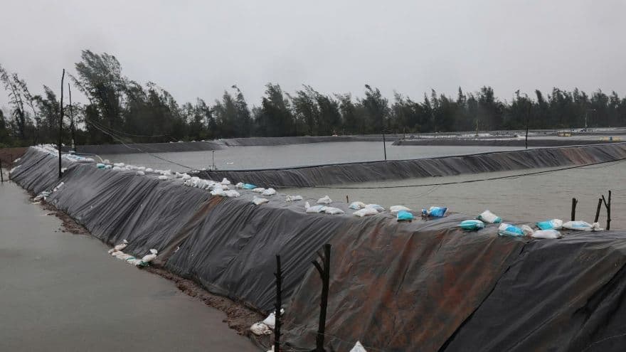 Cảnh quan bị ảnh hưởng bởi gió mạnh và mưa lớn do bão Wipha tại Hưng Yên, thể hiện sự nguy hiểm trên diện rộng.