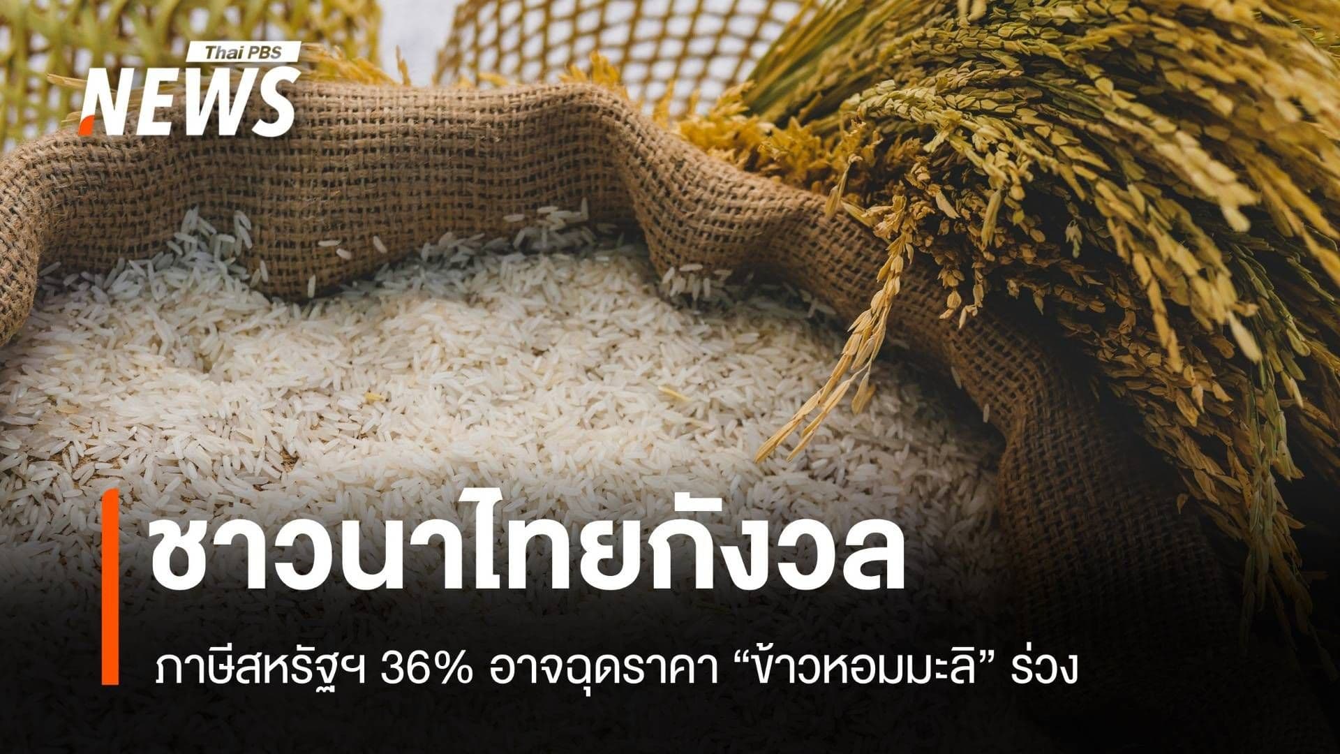 Des grains de riz dans un sac en toile de jute avec un texte en thaïlandais mentionnant l'inquiétude des riziculteurs face à une taxe américaine de 36%.