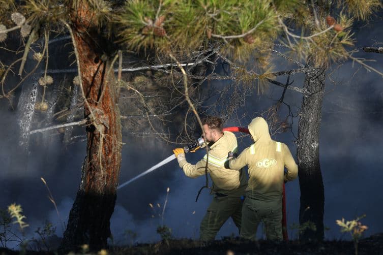 Deux pompiers luttant contre les flammes dans une forêt enfumée à Bursa.