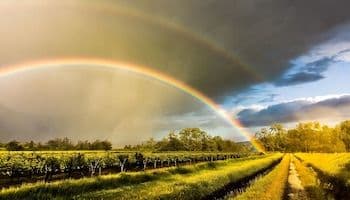 Double arc-en-ciel au-dessus d'un paysage verdoyant après la pluie