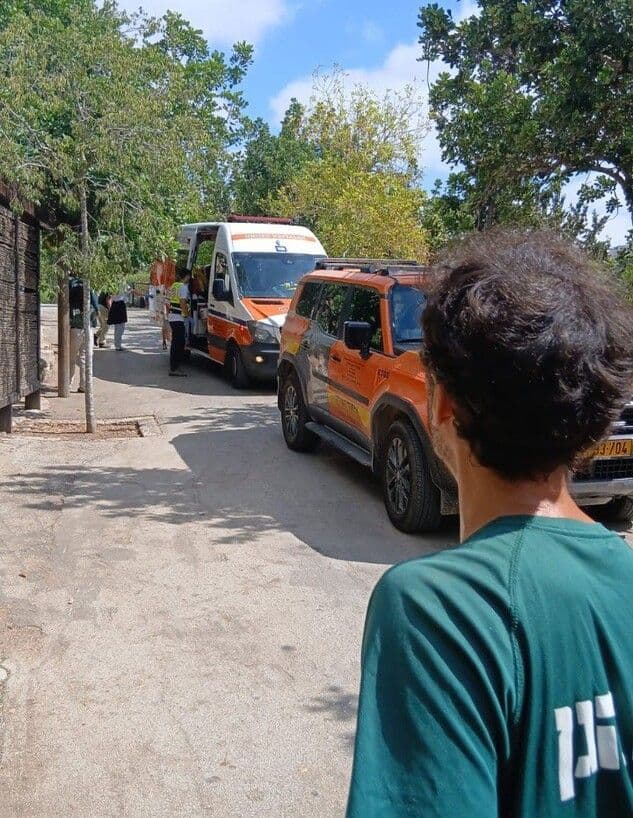 Emergency response vehicles and personnel at the Jerusalem Biblical Zoo following a leopard attack.