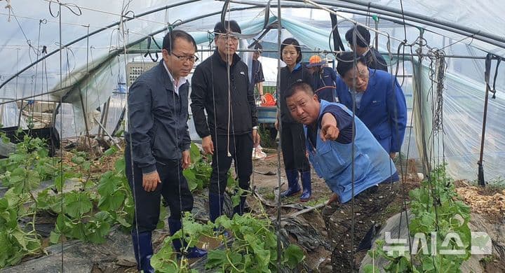 Farmers and officials inspecting crops in a greenhouse, symbolizing KINTEX's role in agricultural development and rural return.