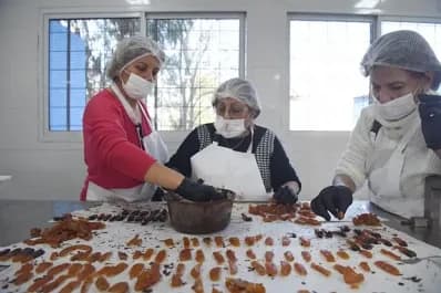 Femmes travaillant dans une usine de transformation de fruits, représentant l'impact du climat sur l'agriculture à Tucumán.