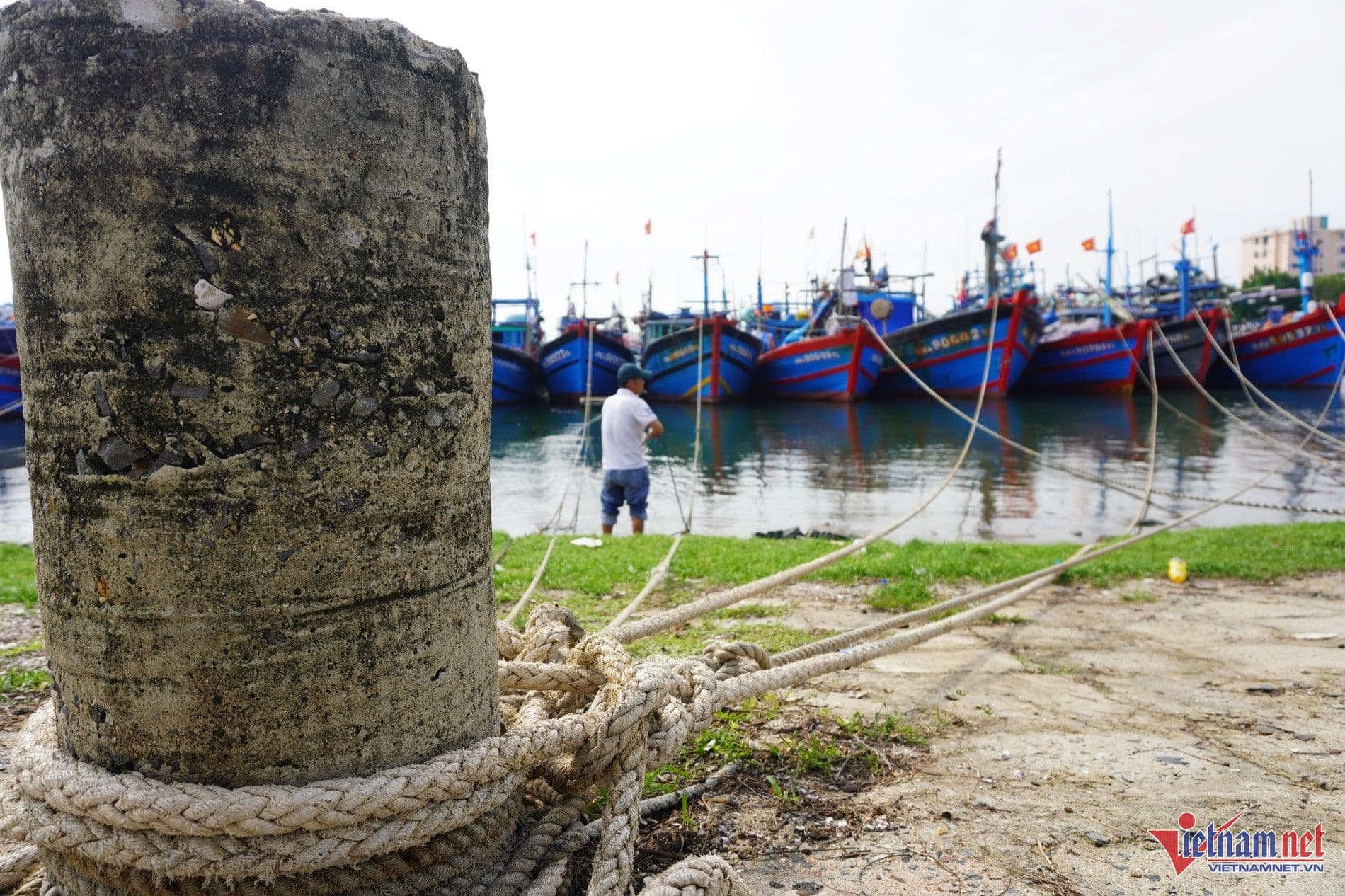 Fishing boats moored at a harbor, representative of Vietnam's maritime infrastructure and logistics.