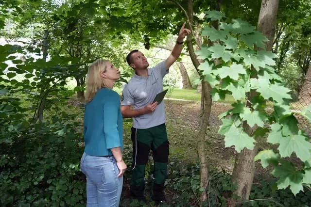 Food safety expert inspecting an area, symbolizing the critical role of enforcers in safeguarding public health.