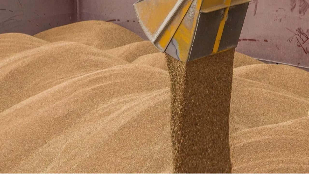 Grain being loaded for export, representing the ongoing agricultural trade negotiations.