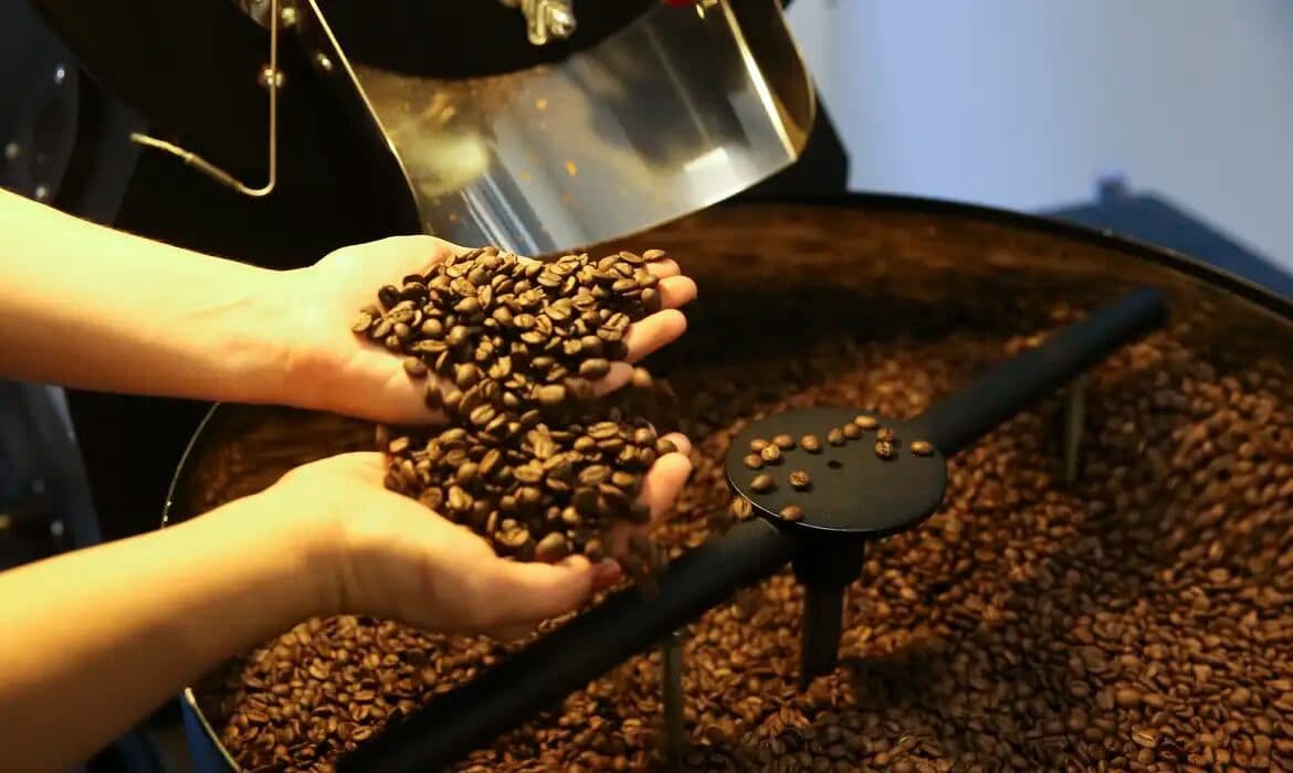 Grains de café torréfiés dans les mains d'un producteur brésilien, représentant les exportations agro-industrielles du Brésil et l'impact des tarifs américains.