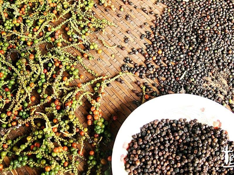 Grappes de poivre vert et rouge sur la vigne et grains de poivre noir séchés dans un bol, symbolisant la production et le commerce du poivre vietnamien.