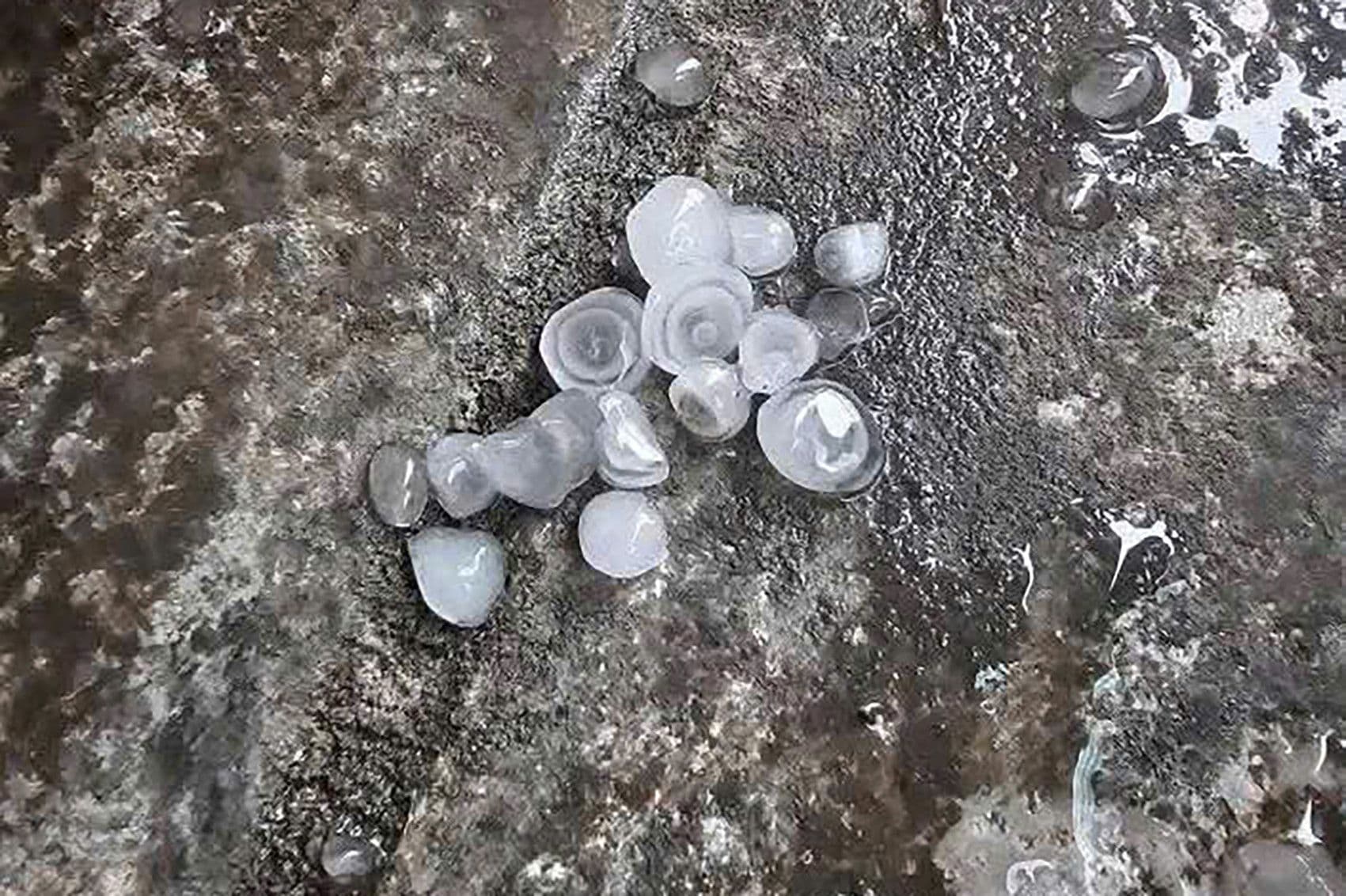 Grêlons tombés au sol lors d'un orage violent lié au typhon Wipha.