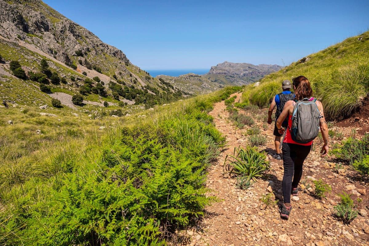 Hikers on a trail in Mallorca, representing public presence in areas affected by invasive snakes.