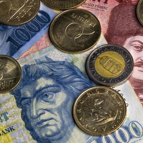 Hungarian Forint coins and banknotes, symbolizing the financial impact of recalls and consumer refunds.