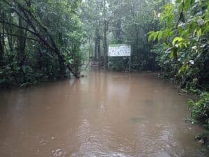 Inundated trail in Volcán Tenorio National Park, Costa Rica.