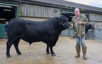 Jeremy Clarkson standing with his large black breeding bull, Endgame, on Diddly Squat Farm.
