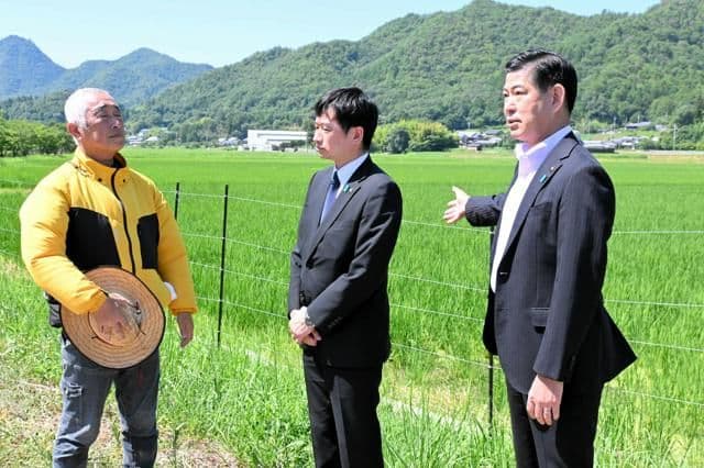 Joetsu City Mayor Ryota Nakagawa and Sanda City Mayor Katsuya Tamura with a farmer in a Sanda rice paddy, symbolizing their reconciliation.