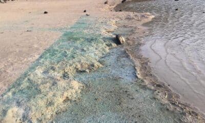 Le Lago di Venere (Lac de Vénus) à Pantelleria, un lac volcanique aux eaux turquoise, reflétant la nature unique de l'île.