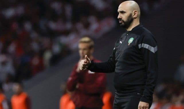 L'entraîneur du Maroc, Walid Regragui, donnant des instructions sur le terrain, symbolisant sa stratégie.